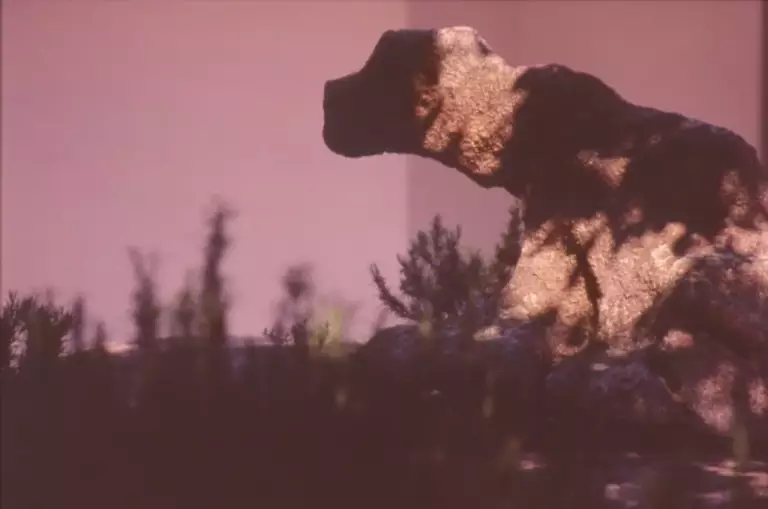 Roccia a forma di cane al tramonto