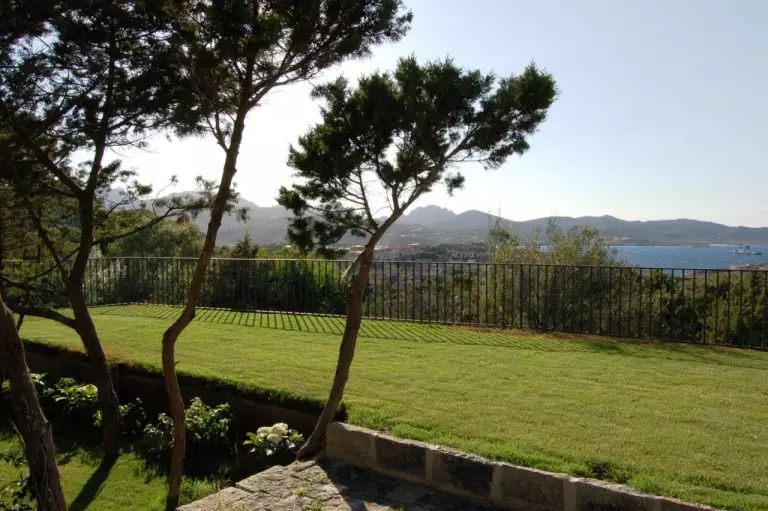 Prato e olivastri con vista sul mare