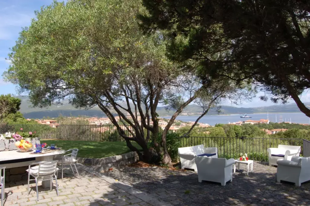 Terrazza ombreggiata dagli olivastri secolari con vista mare